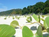 Фотография Голощаповой Оли