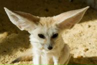 Фотография Паруновой Юлии