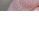 Каріно4ка♥ Шрамко фотография #22 (источник - https://vk.com/id147791993)