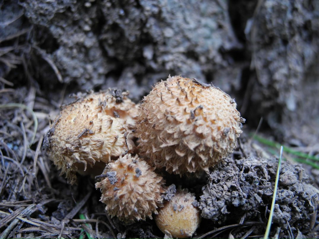 Сергей Мерчев фотография #36