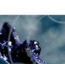 Вова Поліщук фотография #50 (источник - https://vk.com/id37464294)