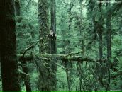 Фотография Александровны Елены