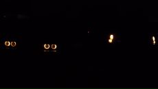 Фотография Миляева Павла