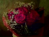 Фотография Штейман Анастасии