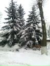 Ірусік Сиротюк фотография #4 (источник - https://vk.com/id134191534)