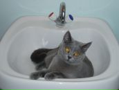 Фотография Гиматудиновой Диляры