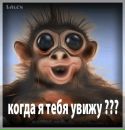 Олічку Люблю фотография #2 (источник - https://vk.com/id162858107)