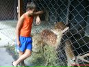 Ліза Лисак фотография #14 (источник - https://vk.com/id155955306)