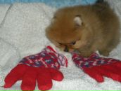 Фотография Солодягиной Наталии