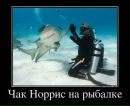 Чак Норіс фотография #1