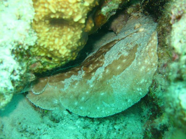 Евгений Коновалов фото №37