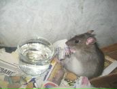 Фотография Бекасова Алексея