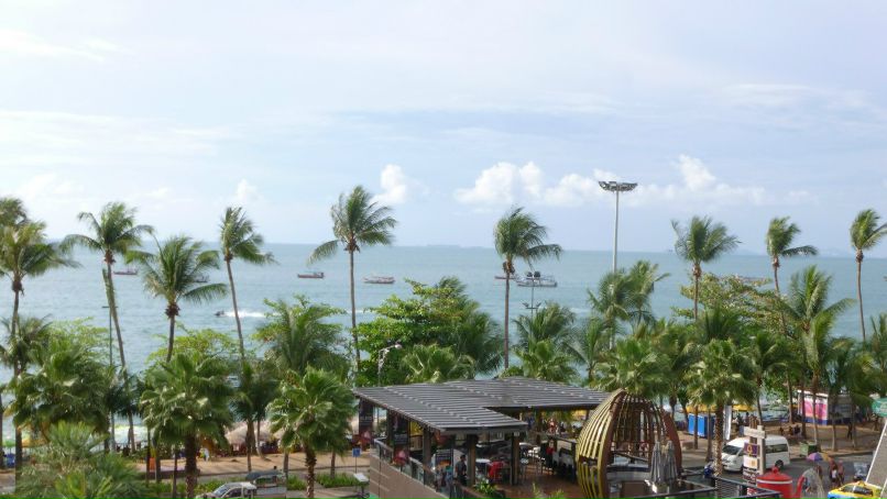 Александр Пак фотография #35