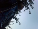 Пліткарка Ломоносова фотография #8 (источник - https://vk.com/id192063698)
