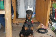 Фотография Замосковцевой Анны