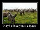 Сергій Климчук фотография #10 (источник - https://vk.com/id41641264)