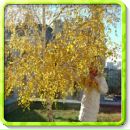 Саня Матвійчук фотография #15 (источник - https://vk.com/id133559306)