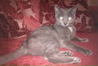 Фотография Алексеевой Нины