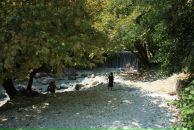 Сергей Толмачёв фотография #25 (источник - https://vk.com/id98358)