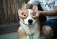 Віка Погуляй фотография #25 (источник - https://vk.com/id17894574)