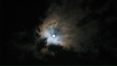 Сергей Рощевский фотография #41 (источник - https://vk.com/id749709)