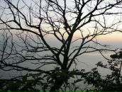 Фотография Дорохова Андрея