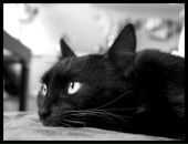 Фотография Солодовой Ирины