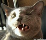 Фотография Абдрахмановой Лии