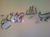 Amir Freeman фотография #17 (источник - https://vk.com/id74279004)