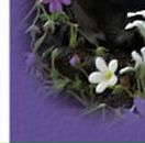 Таїсія Петрина фотография #32 (источник - https://vk.com/id28549960)