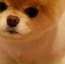 Разбитое Сердце фотография #5 (источник - https://vk.com/id611602)