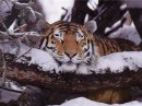 Сергій Прокопишин фотография #23 (источник - https://vk.com/id66292079)