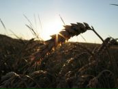 Марія Семенів фотография #23 (источник - https://vk.com/id19075070)