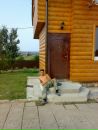 Міша Новaк фотография #2 (источник - https://vk.com/id132102168)