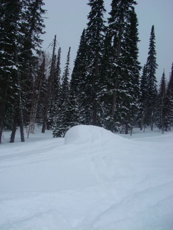 Денис Ковалев фотография #33