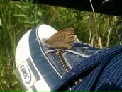 Фотография Фурсенко Сашки