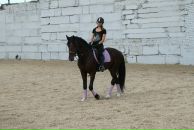 Фотография Зверев Антон