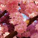 Настюша Федінчик фотография #37 (источник - https://vk.com/id148249538)