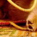 Катя Ходаківська фотография #47 (источник - https://vk.com/id141582298)