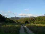 Фотография Григорьева Виктора