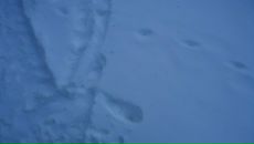 Руслан Асадуллин фотография #45 (источник - https://vk.com/id104181567)