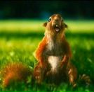 Володимир Курілов фотография #1