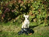 Фотография Серёгиной Кати