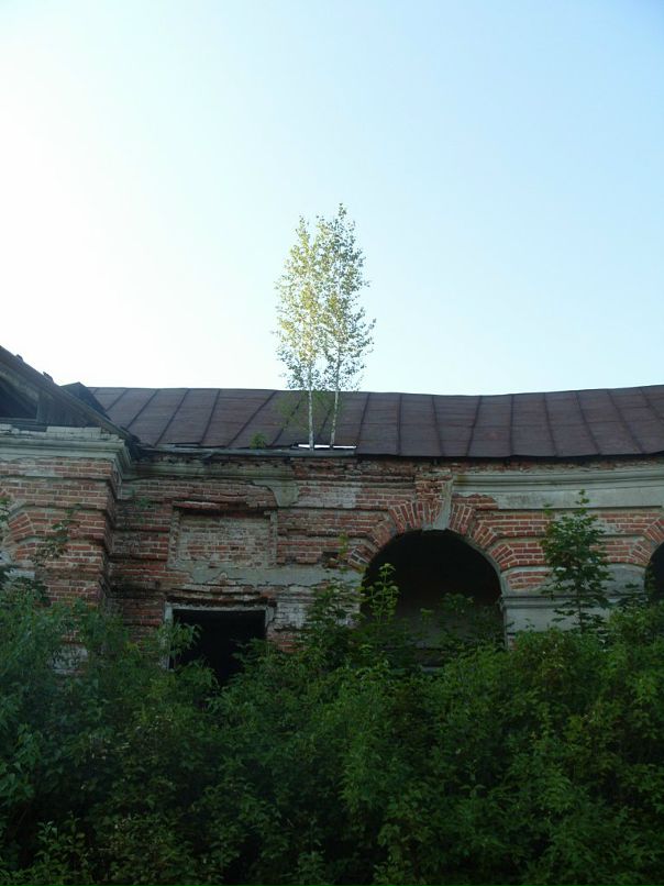 Дмитрий Пызин фотография #36