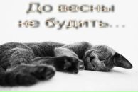 Фотография Беловой Светланы