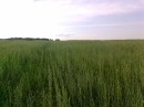 Вовік Морзік фотография #27 (источник - https://vk.com/id23592091)