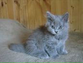 Фотография Терюховой Нины