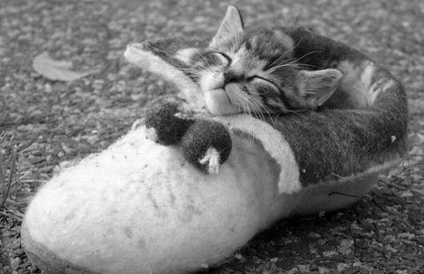 №8, Никита Сизов, 37 лет, Пермь №8, Никита Сизов, 37 лет, Пермь