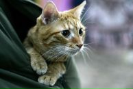 Фотография Харшана Алексея