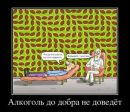 Андрій Лісовський фотография #49 (источник - https://vk.com/id49608443)